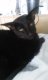 Profilbild von Sylvi