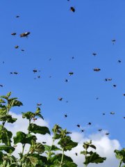 Profilbild von Kinderreich