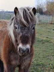 Profilbild von Light