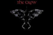 Profilbild von The Crow