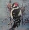 Profilbild von Cherry