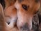 Profilbild von Sanniliest