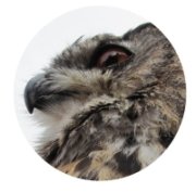 Profilbild von Silvana