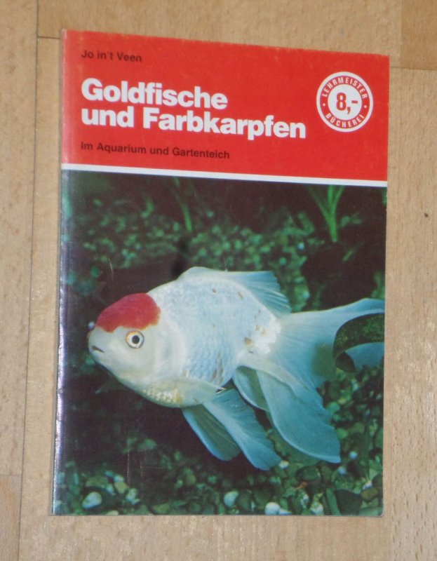 Paket 41 Goldfische Und Farbkarpfen - 