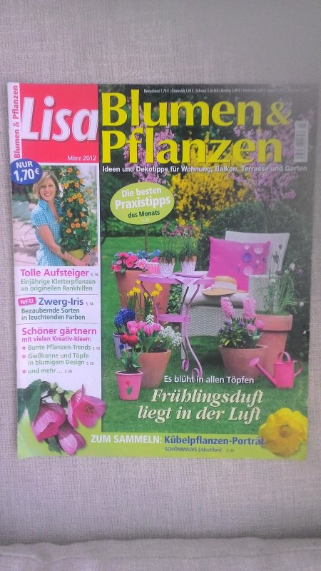 Im Paket Fur 3 1 Lisa Blumen Pflanzen Ideen Und Dekotipps